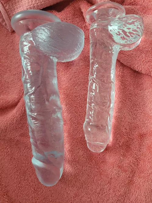 Which one should go in my ass and which one in my pussy?? by Much_Researcher4155