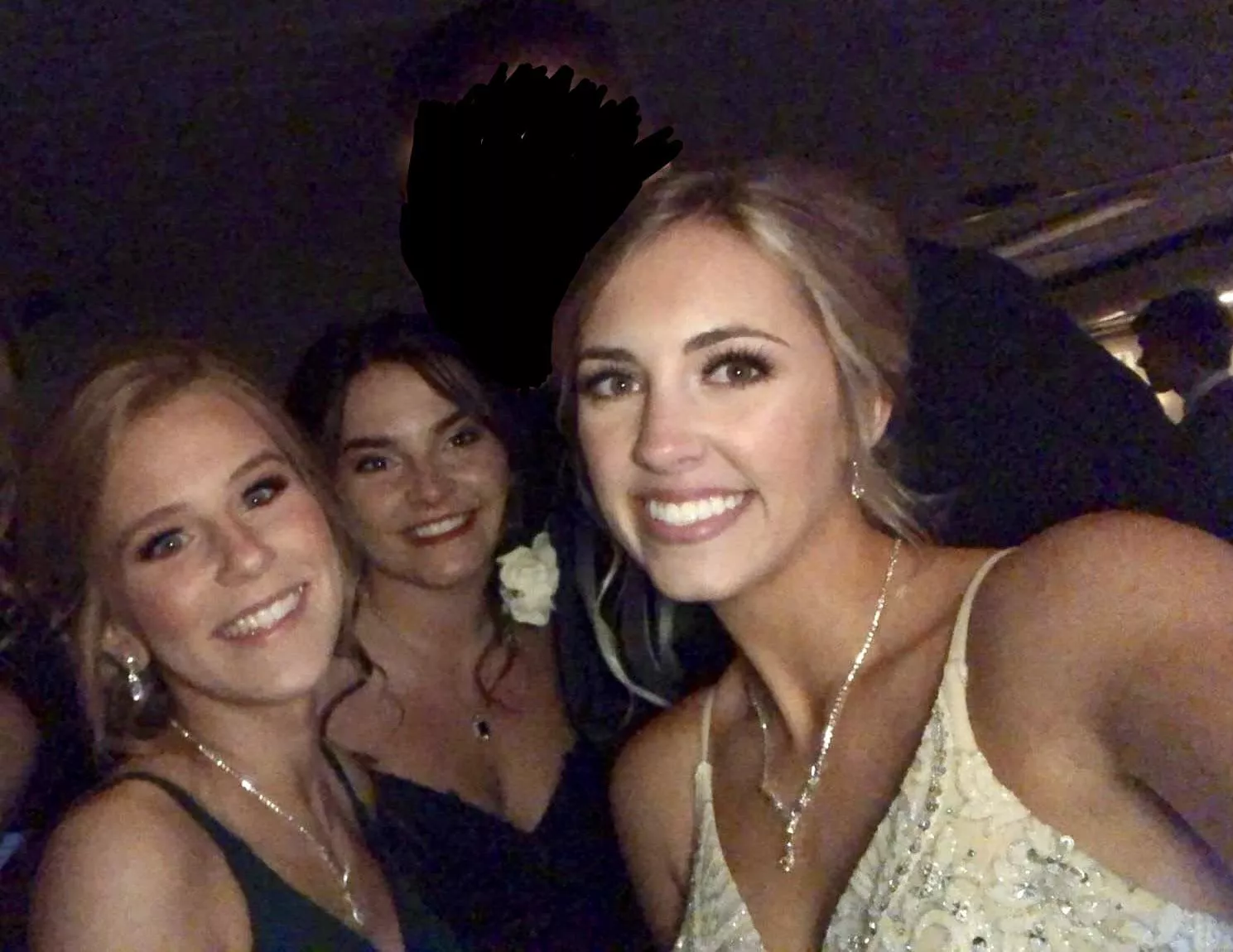 Who would your bride be? posted by BingoDino-dna