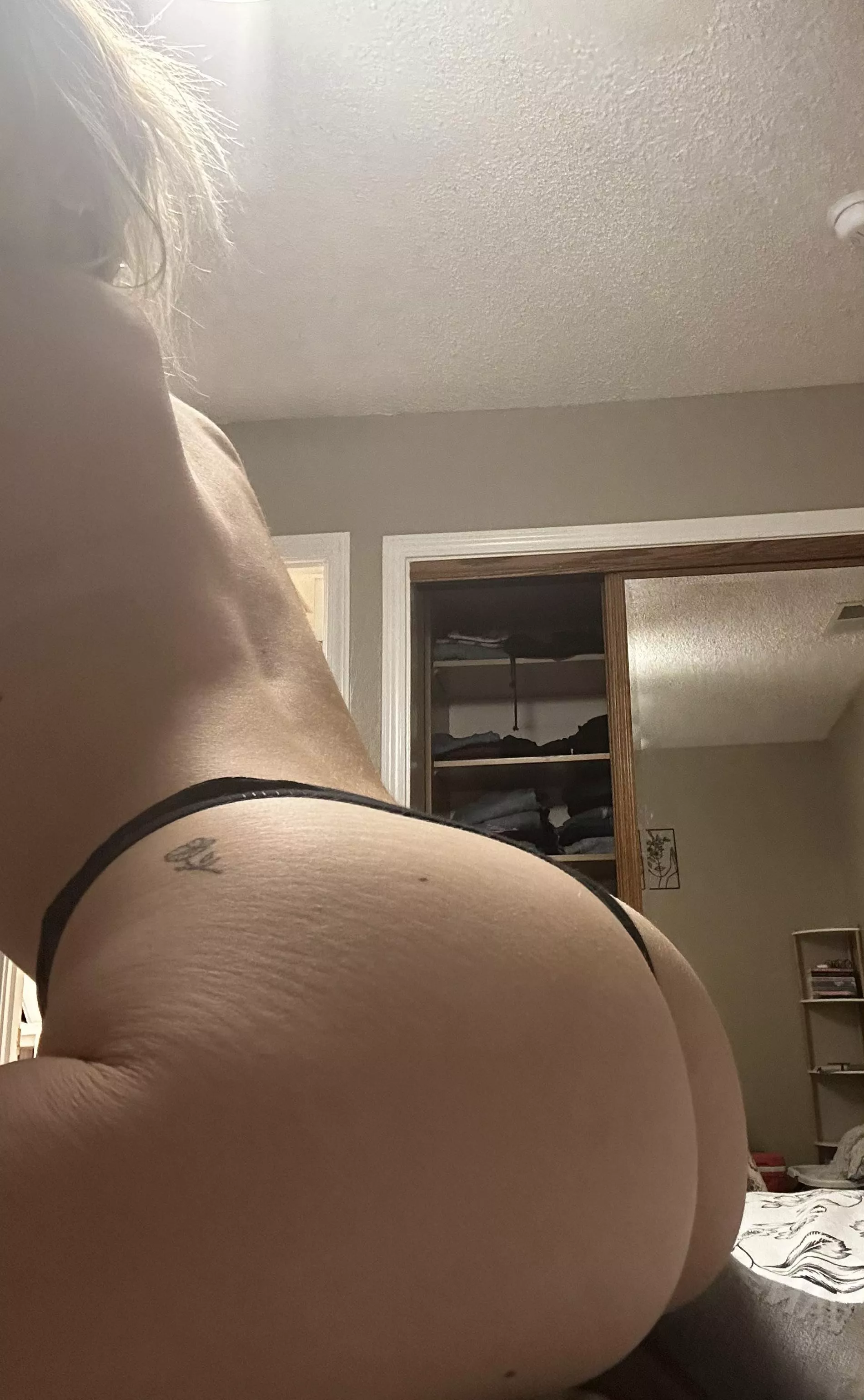 are you a certified booty lover? posted by SHARPNESSES