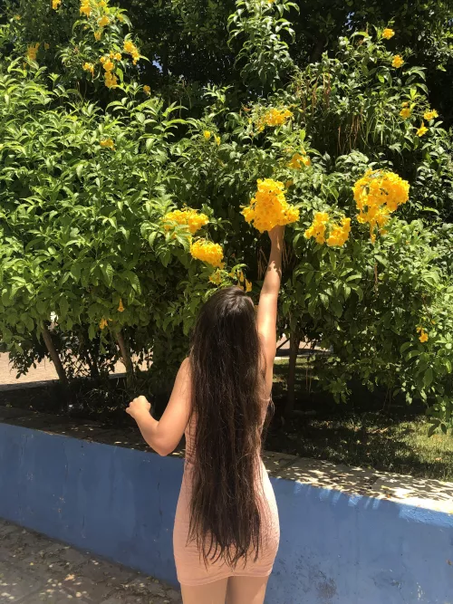 Curvy by johnnycagewasd