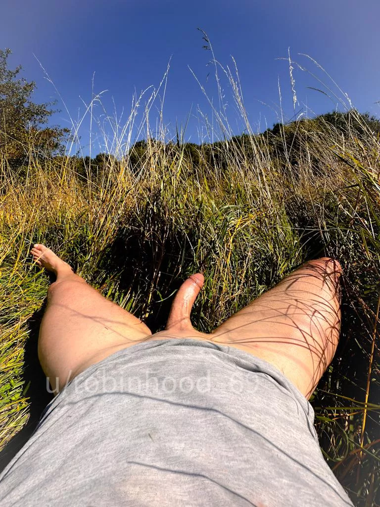 Hidden surprise at meadow posted by Robinhood_69