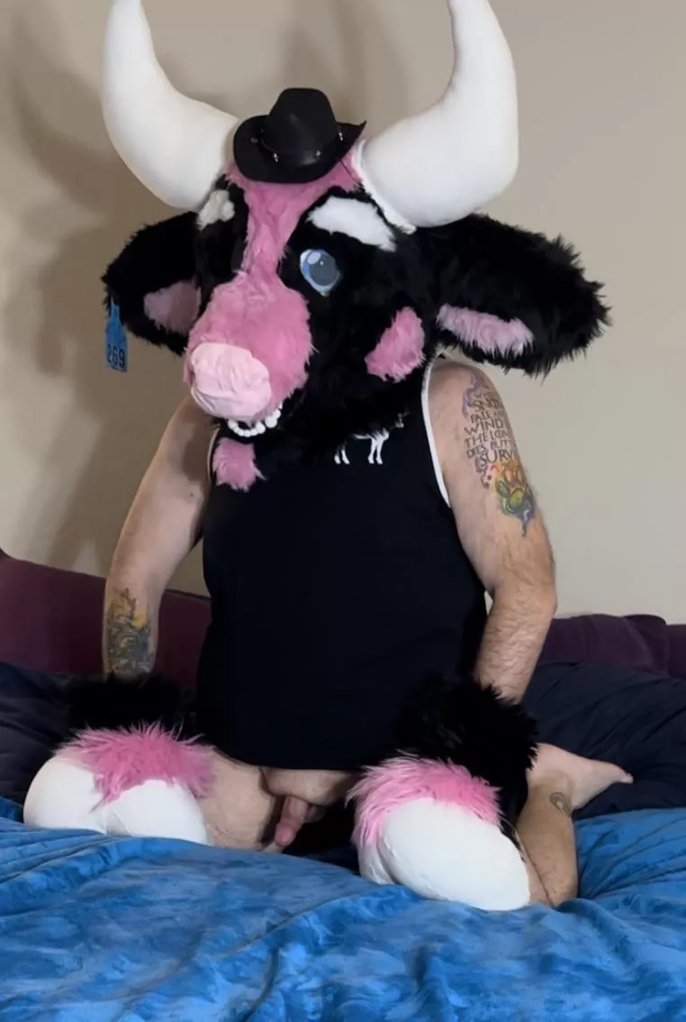 I just finished my partial suit. Anyone want some milk? 🐮🥛 posted by Locked_Bleu