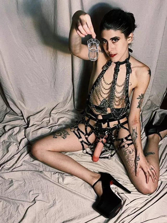 Im gonna make the most special rules 4 you posted by Southern-Deal5821