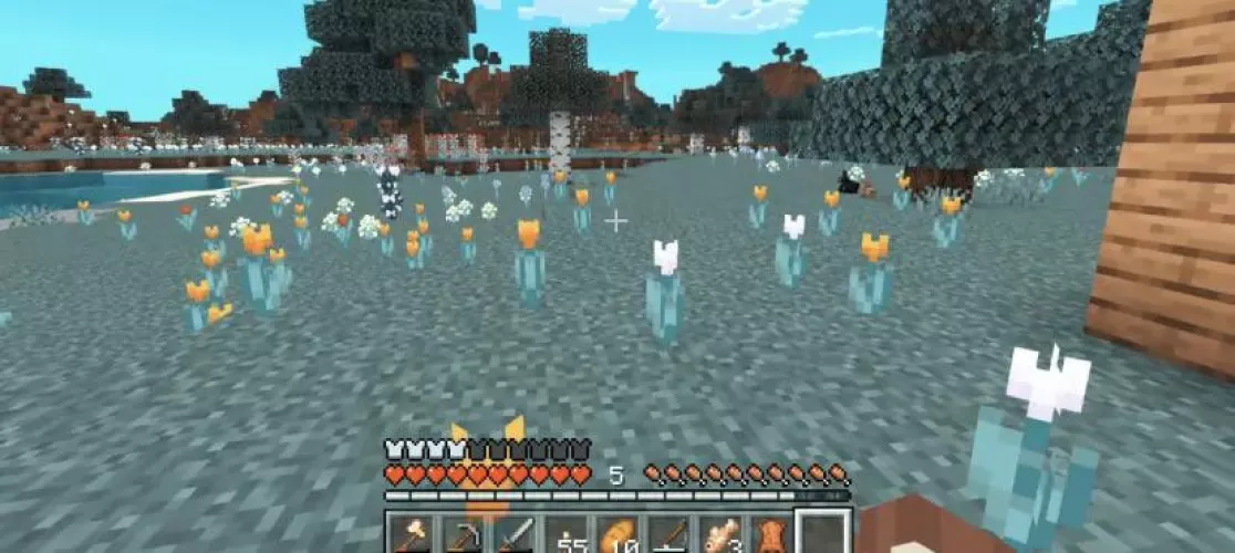 Minecraft has strange filter while streaming by yeoldeging