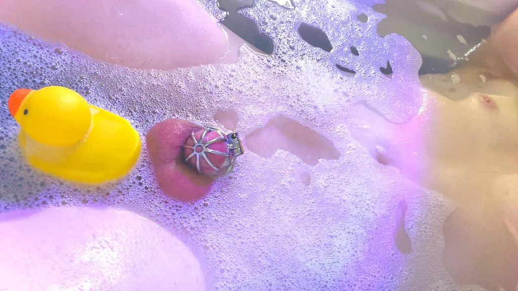 Squeaky clean cage 🥰 (24) posted by atrox1022