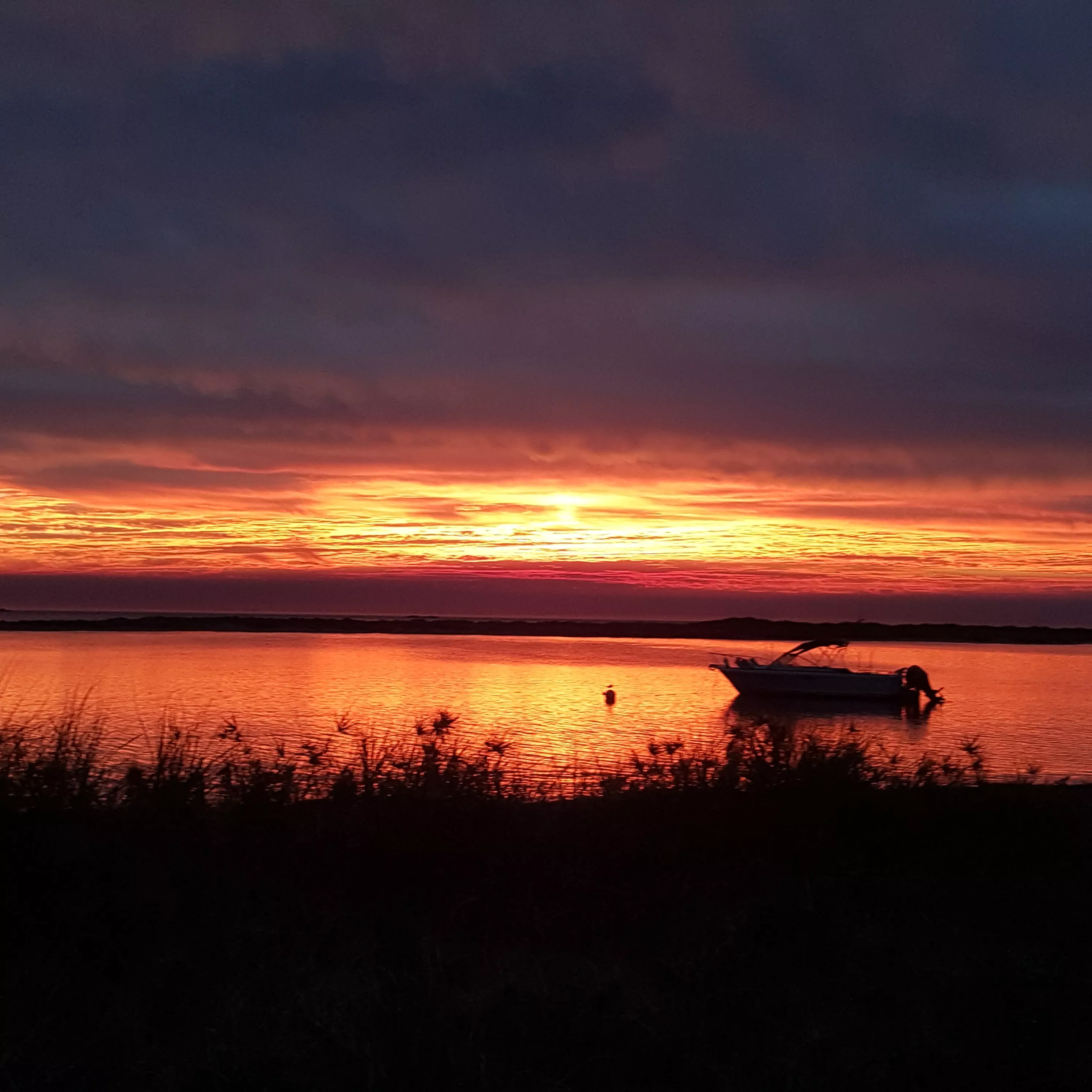 Sunsets at home, Perth WA posted by Barefoot-Princess19