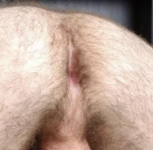 will someone dm me by Brief_Opening5000