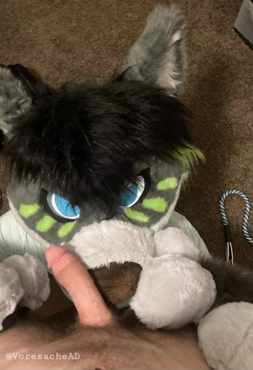 Your POV after you call me a Good Boy~ by Voresache