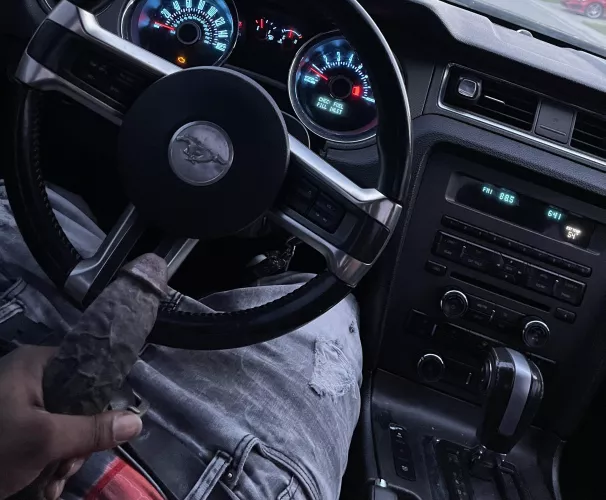 A horse in a horse 😏 looking for a cowgirl by daddygot3legs