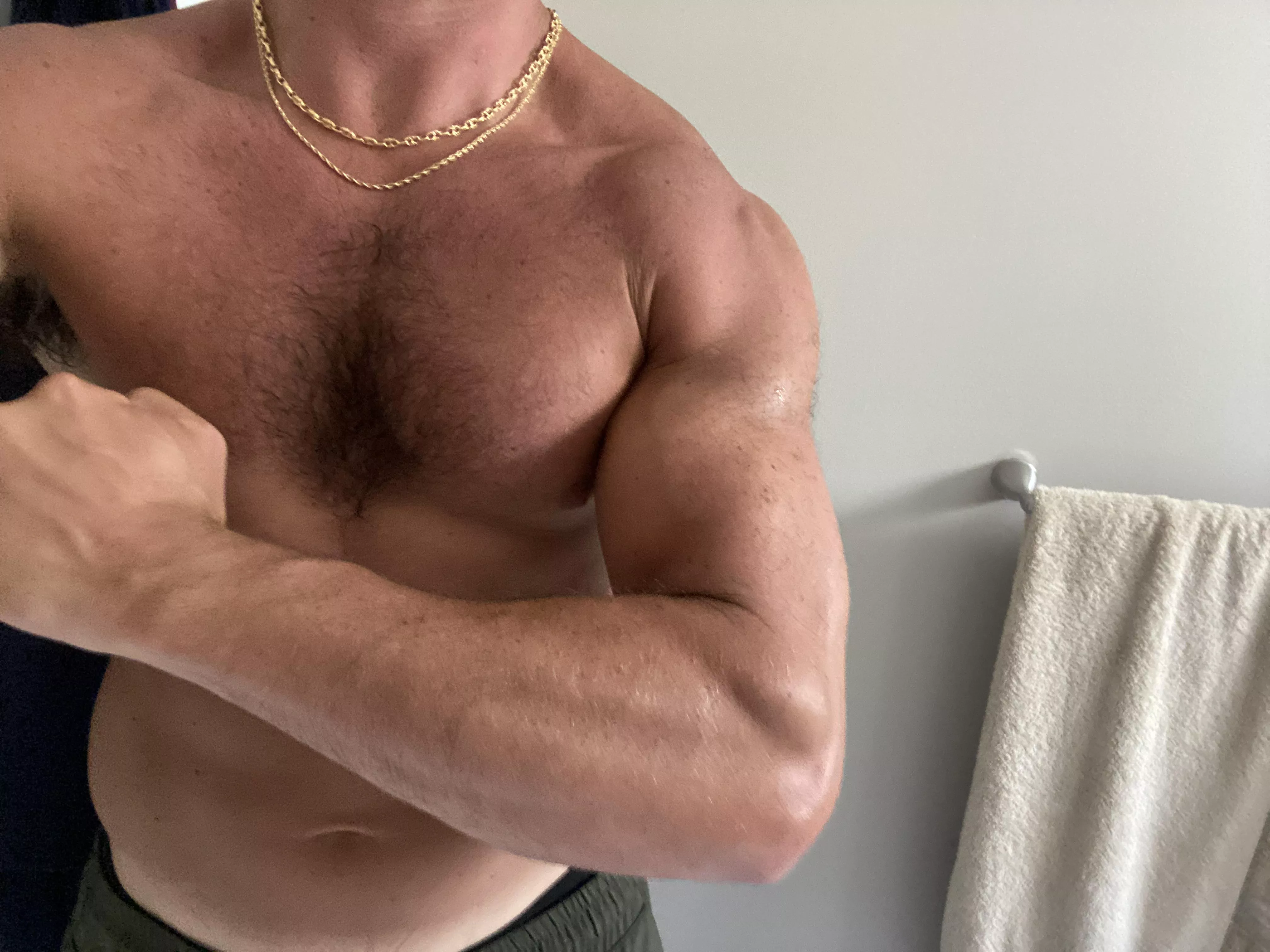 Alpha’s Dominate posted by Stallion13_