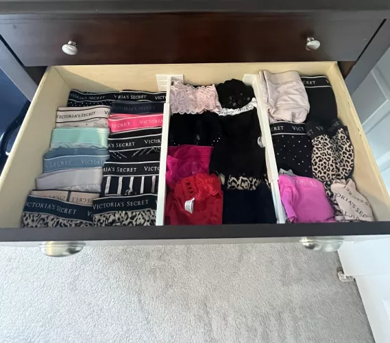 I only own Victoria secret panties now. Thank you mistress 💁🏻‍♀️ by Equivalent_Low1917