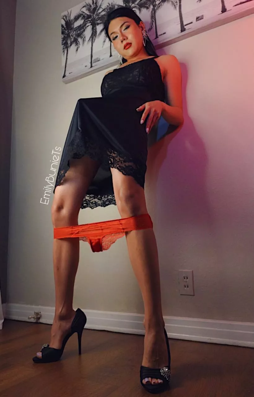 I'm always ready to lift your cock every day posted by EmilybunieTs