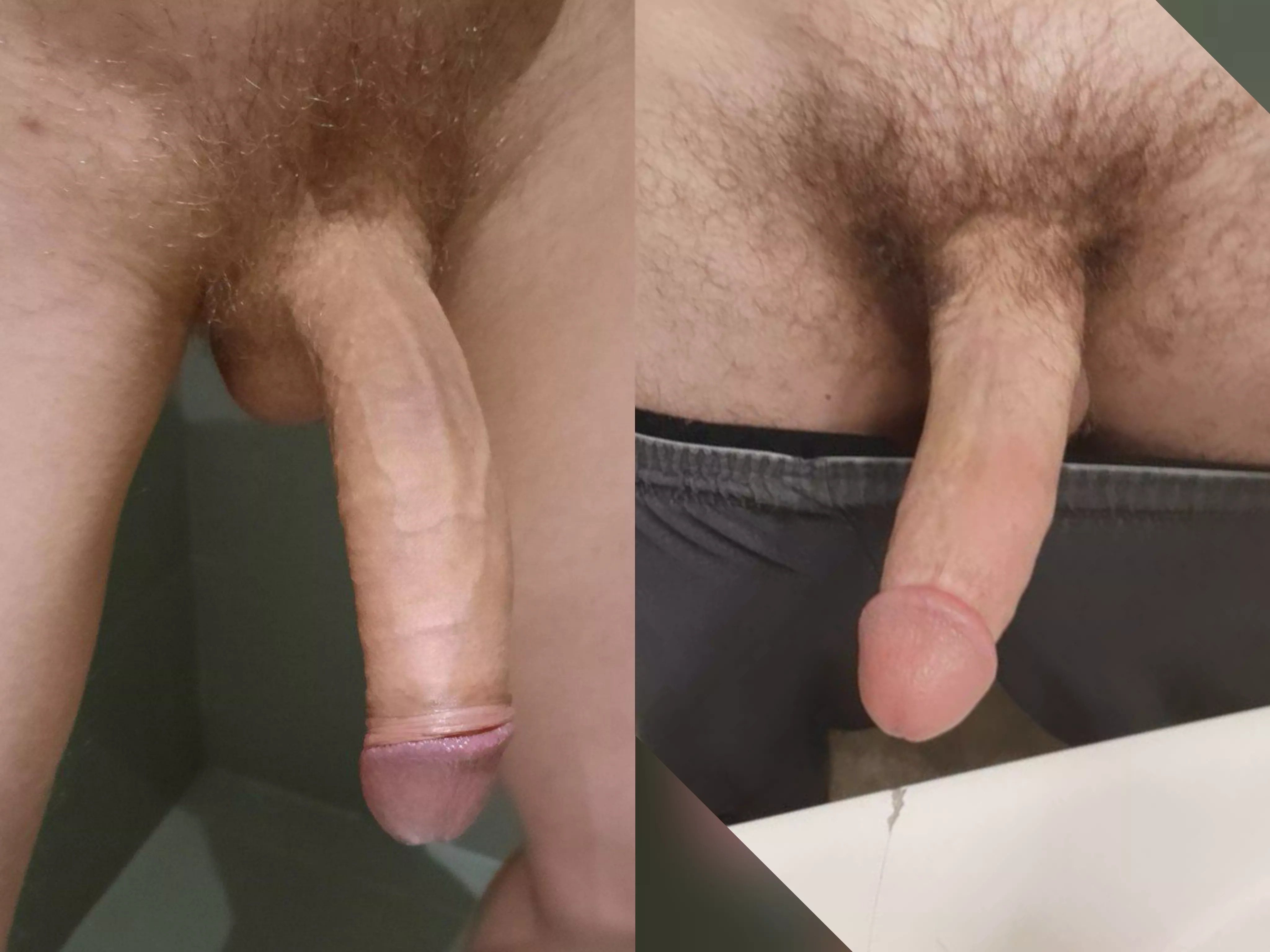 Me(left) vs. u/Pale_Put_2300 compared 😁 Looks hung af, but I'm still over an inch longer ! posted by Low-Fox-3366