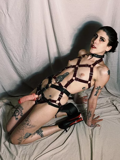 Tell the truth, would you like my big cock in your mouth each morning or you are scared? by Southern-Deal5821