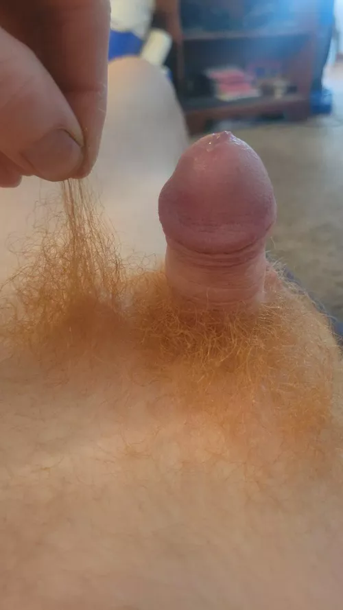 When your pubes are bigger. Dms open for compares and bets by Naive_Safe_2634