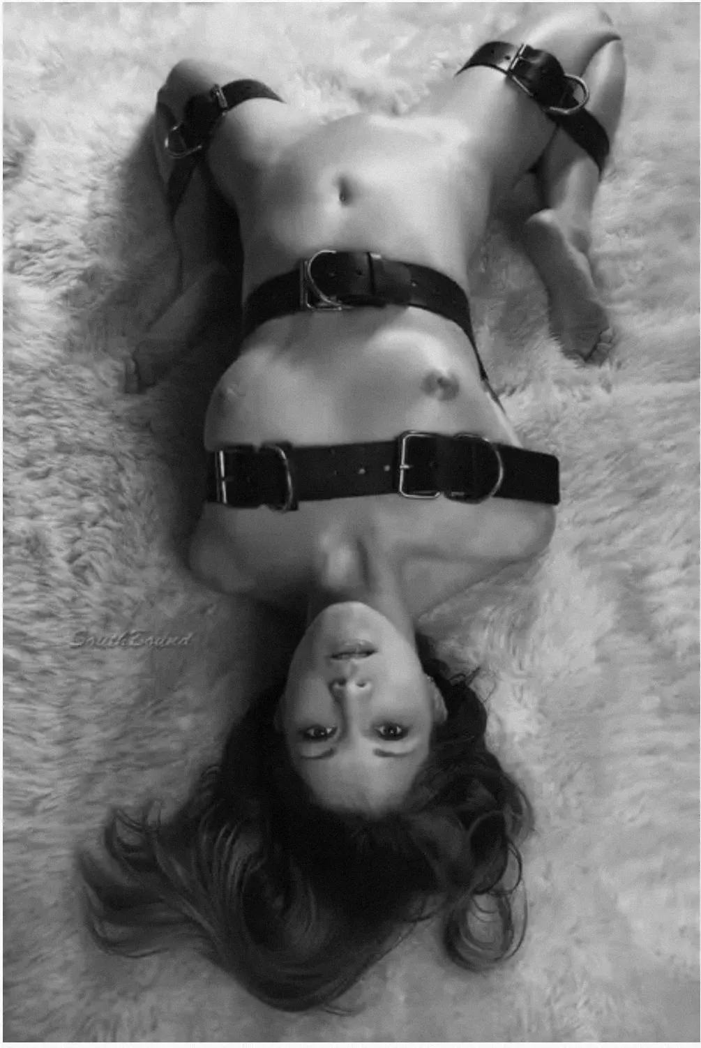 Would you help me get out? posted by Floof9812