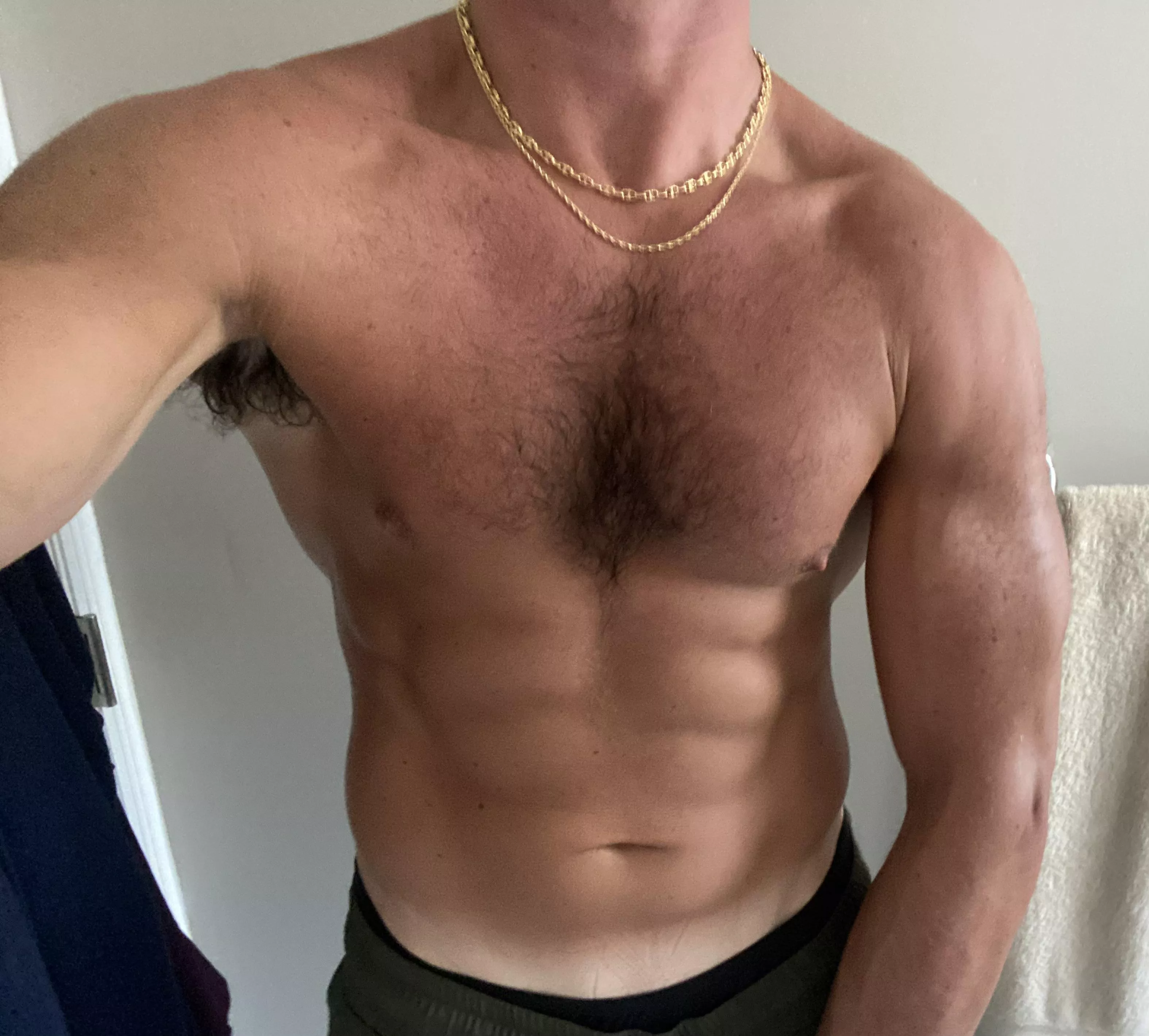 Alpha’s Dominate posted by Stallion13_