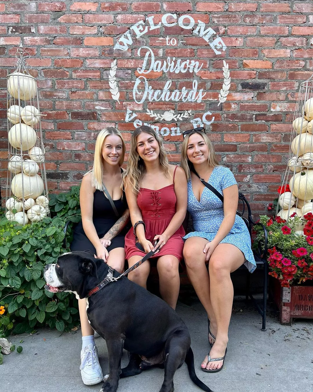 Blondes on a Bench posted by Theyounggetstronger