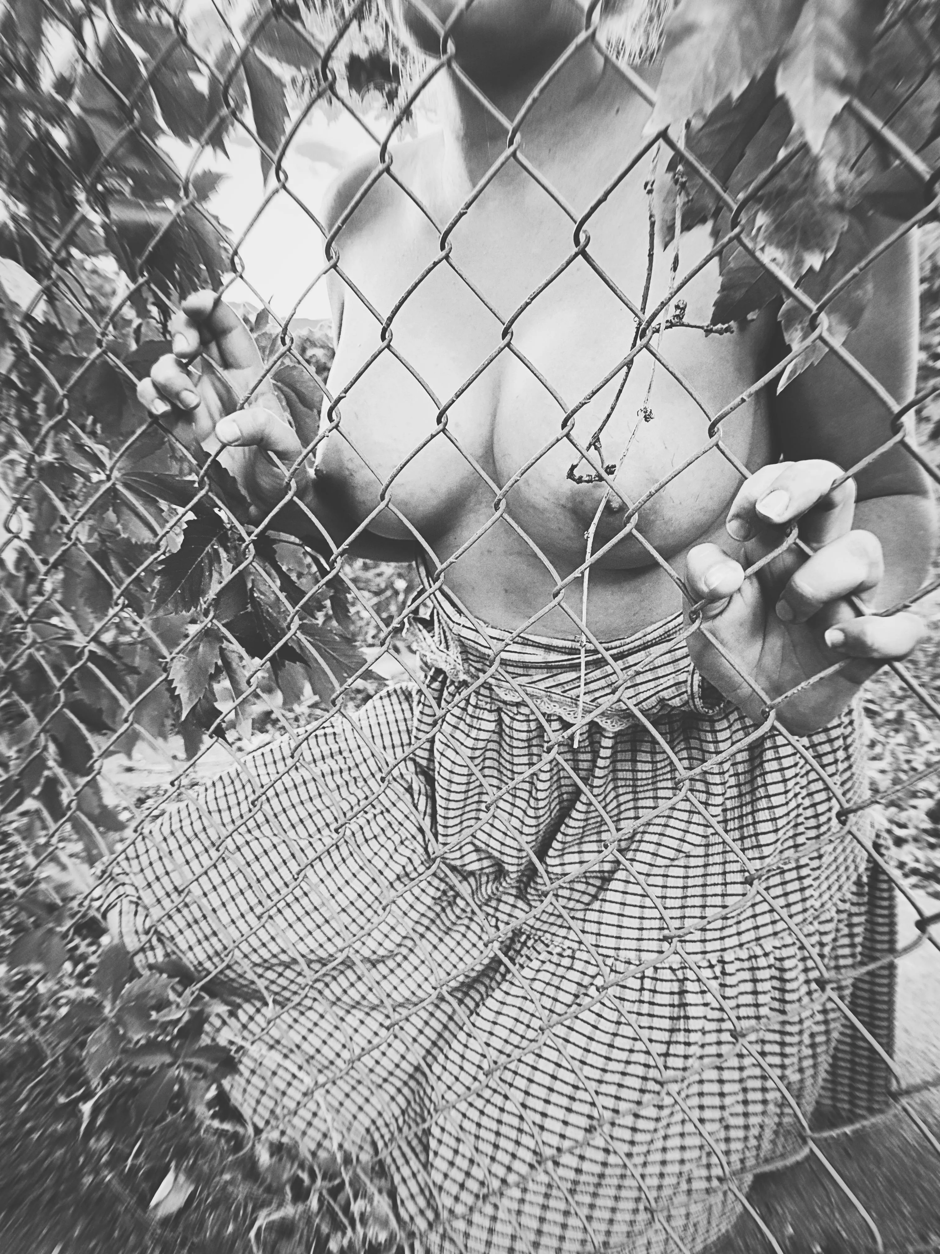 Caged posted by NexusFae