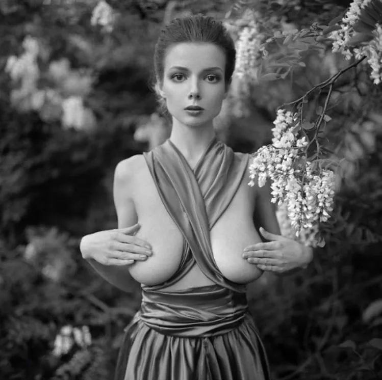 Cherry blossoms posted by eff_zilla