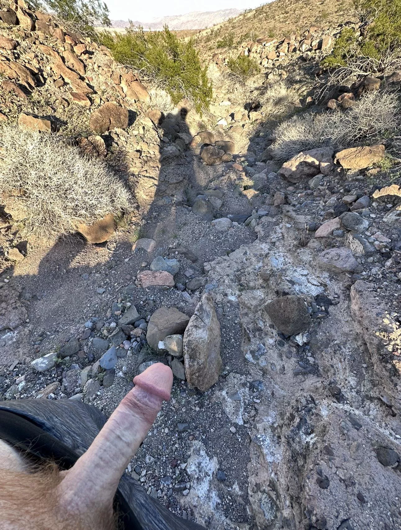 Desert Dick posted by xwcvxz