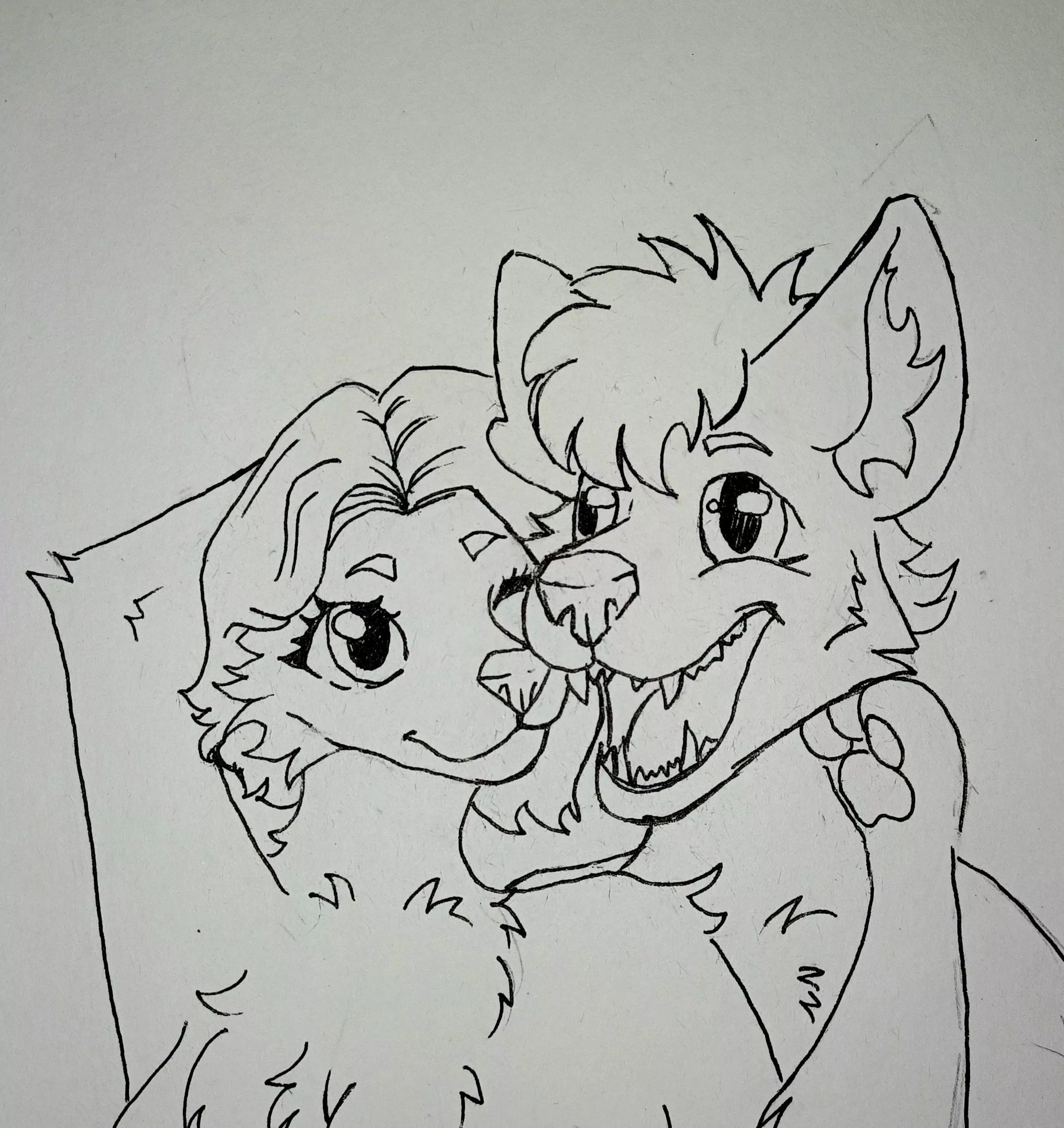 Doodling and then realised I forgot her ears?! posted by Asjacfurr