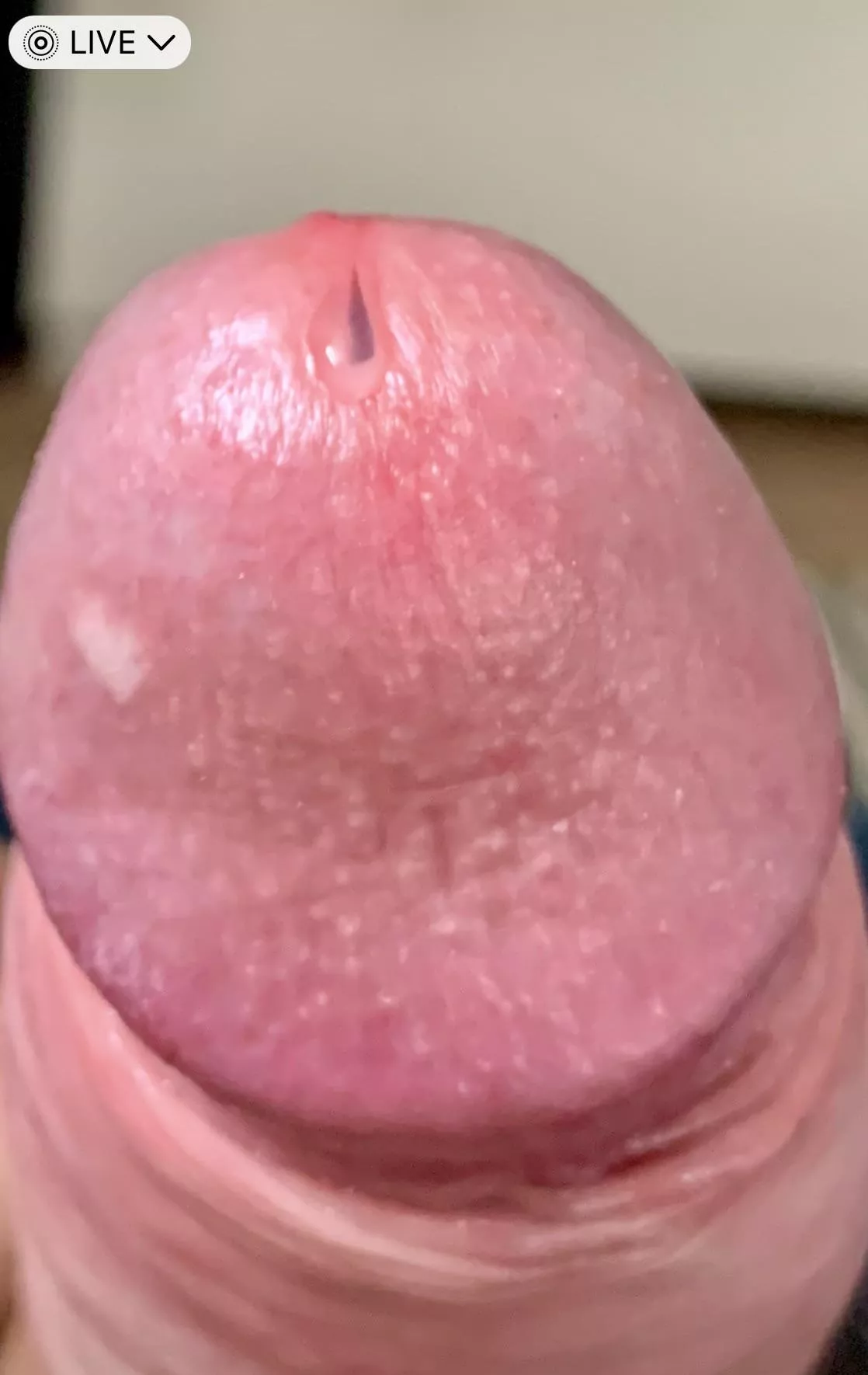 First bit of precum posted by ECorte4
