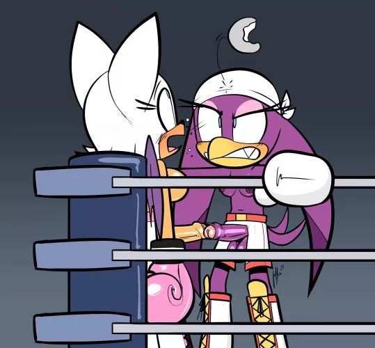 Futa Rougethebat and Wave the Sallow dick girl fight in boxing ring(Milkandjuice) by MasterHavik