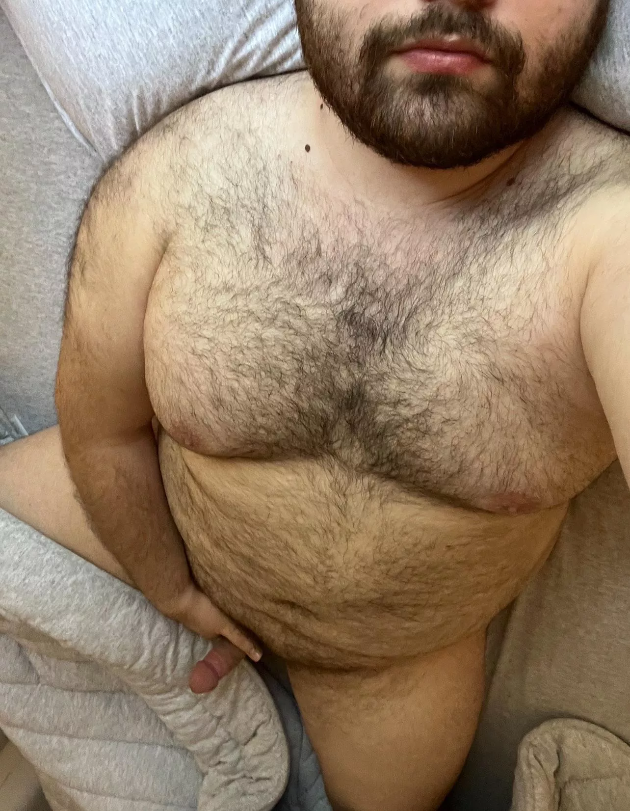 here I lay down again 🐾 posted by No-Alternative7009