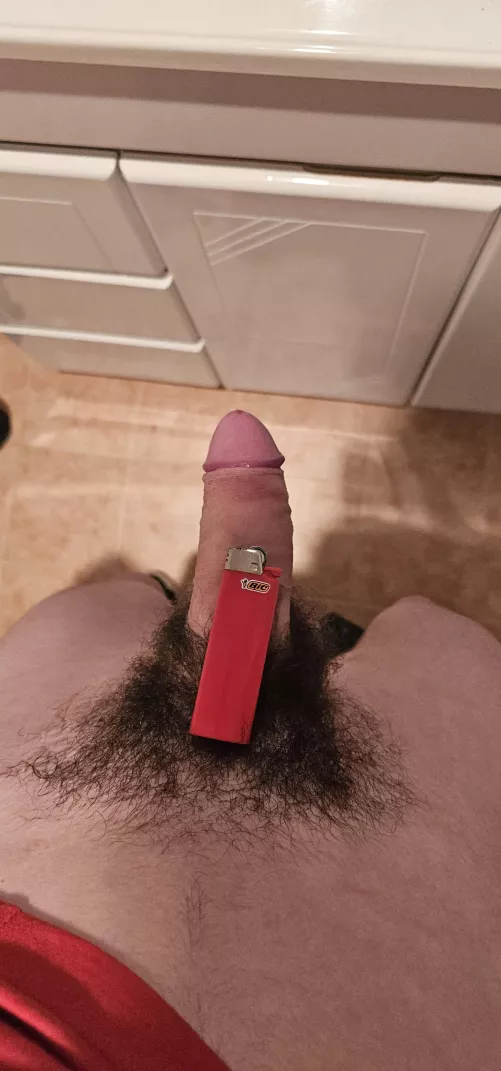 Honest thoughts? by Numerous_Ticket_90