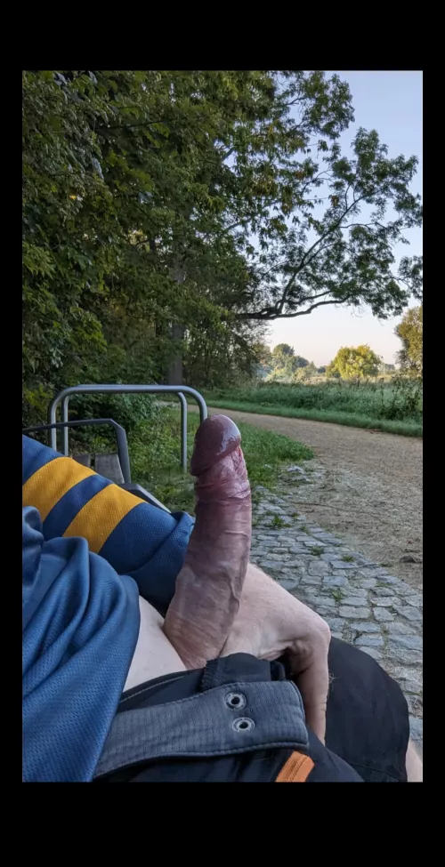 In the park by Fuxdevil