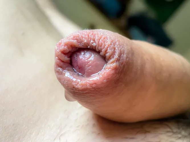 Looking at this community makes me wet. by Competitive-Start-15