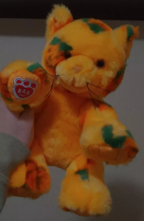 Mister took me to Build-A-Bear after work! 🎃🧡 by paddedpup_