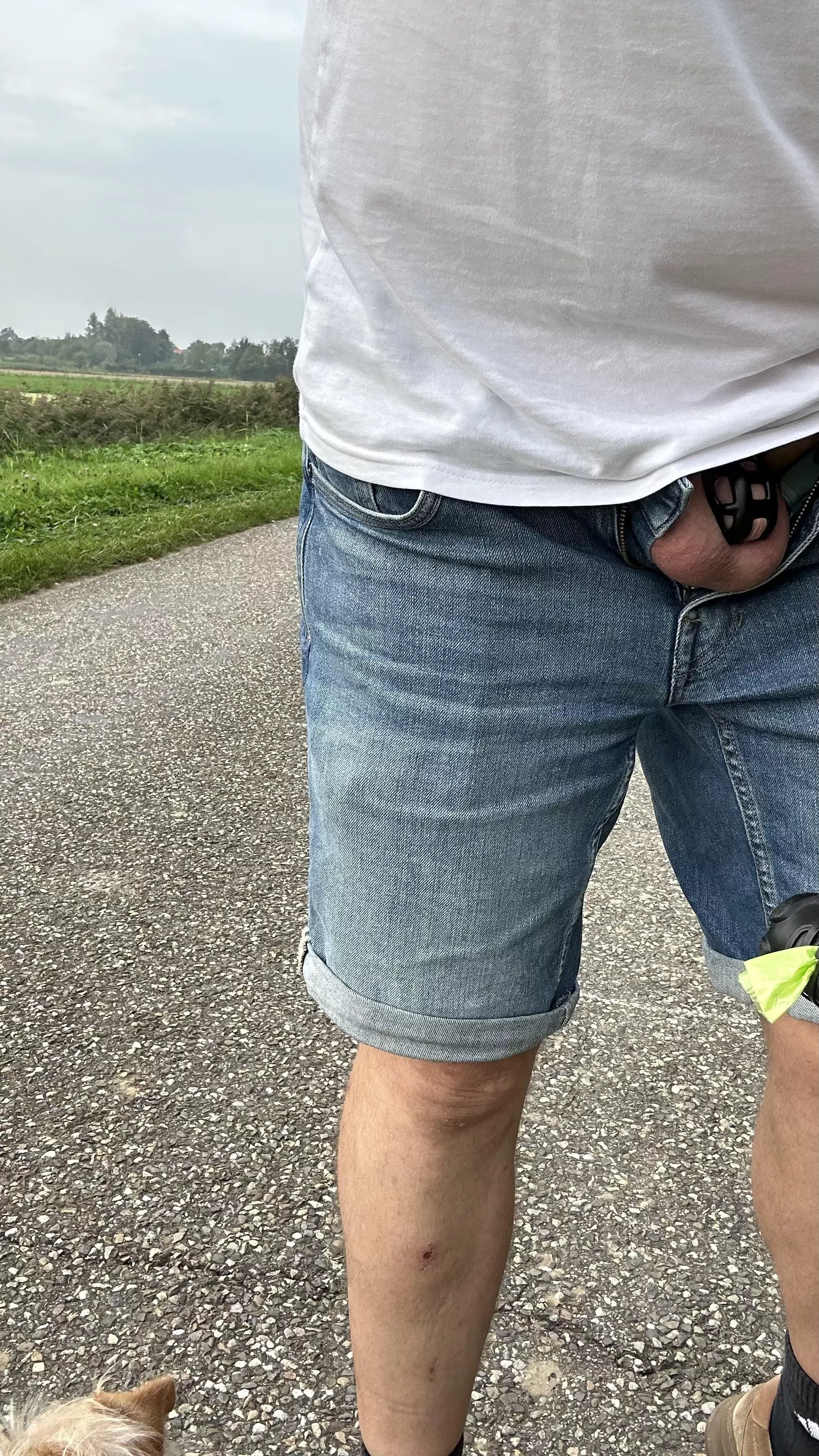 Outside cagecheck posted by LockEsteban