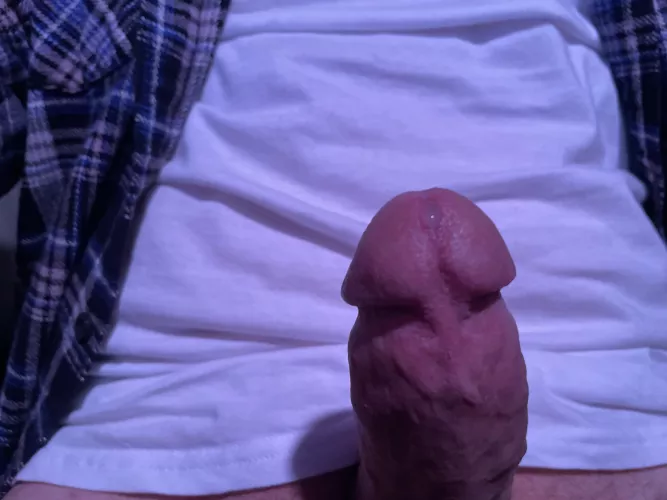 Rainy Monday [37] by towerofpower92