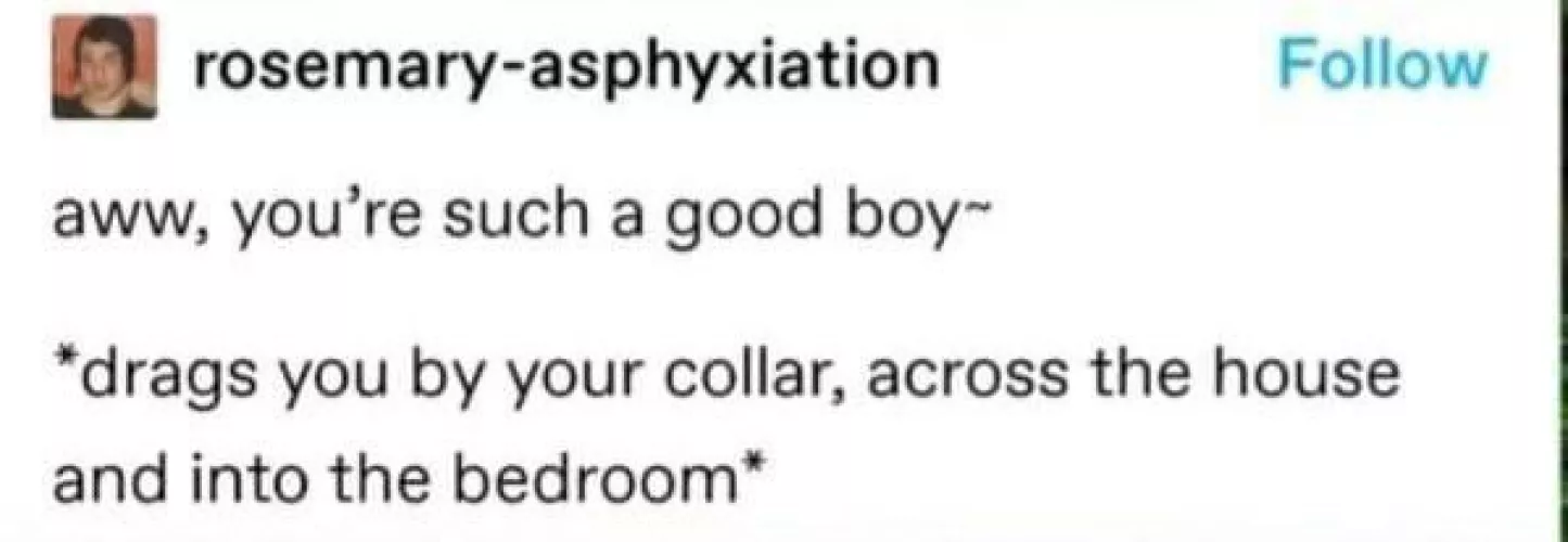 This is the life I want by superdroid72