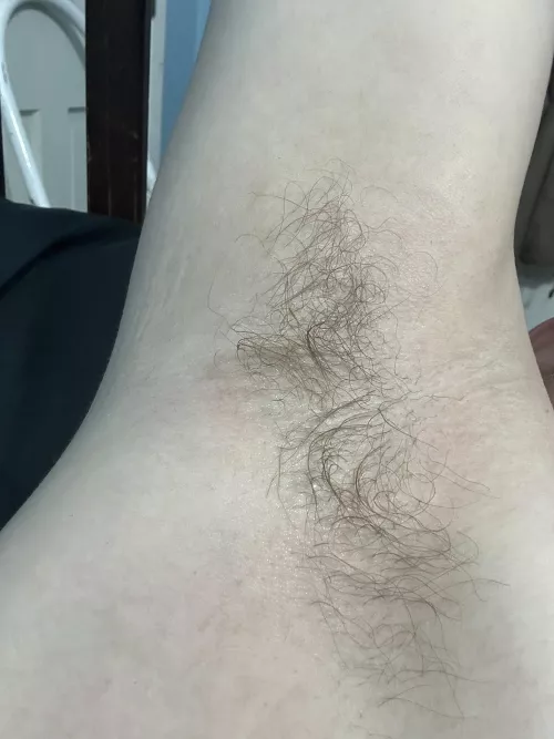 Who wants to touch my armpits by Big-Initiative-8743