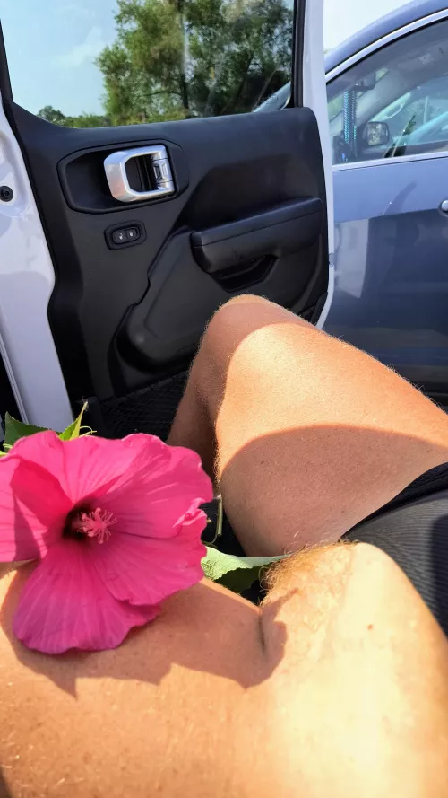 Would you like to make a between the thigh cream pie? by AccomplishedEagle499