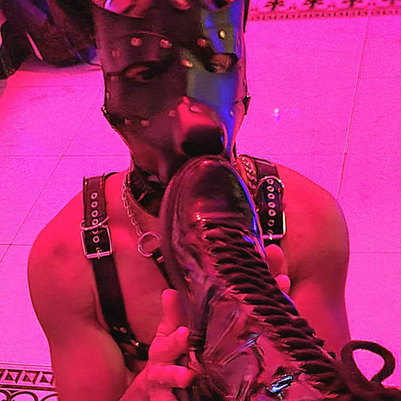 A ladybug willing to serve me and fulfill all my desires. [domme] posted by DominAve