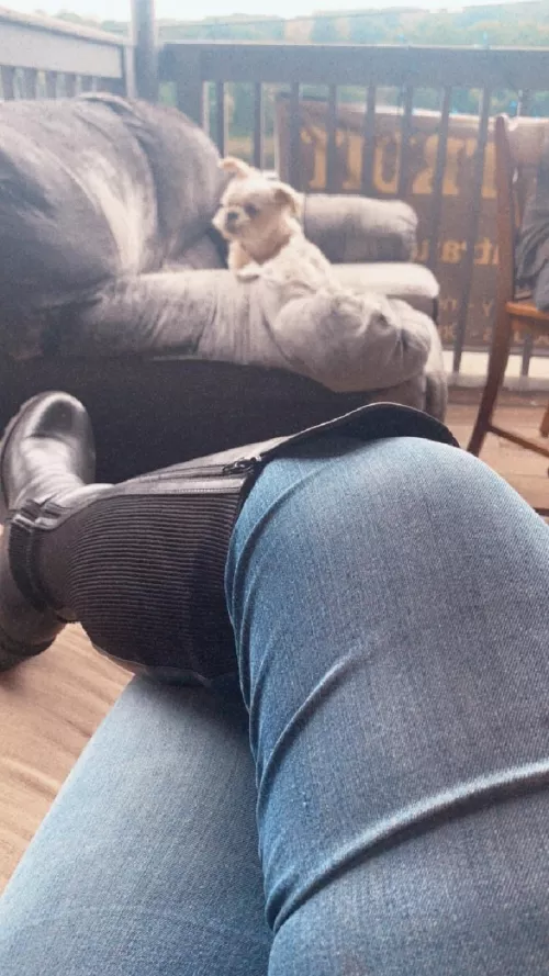 Best Photo Bomb Ever by Angieoflegend