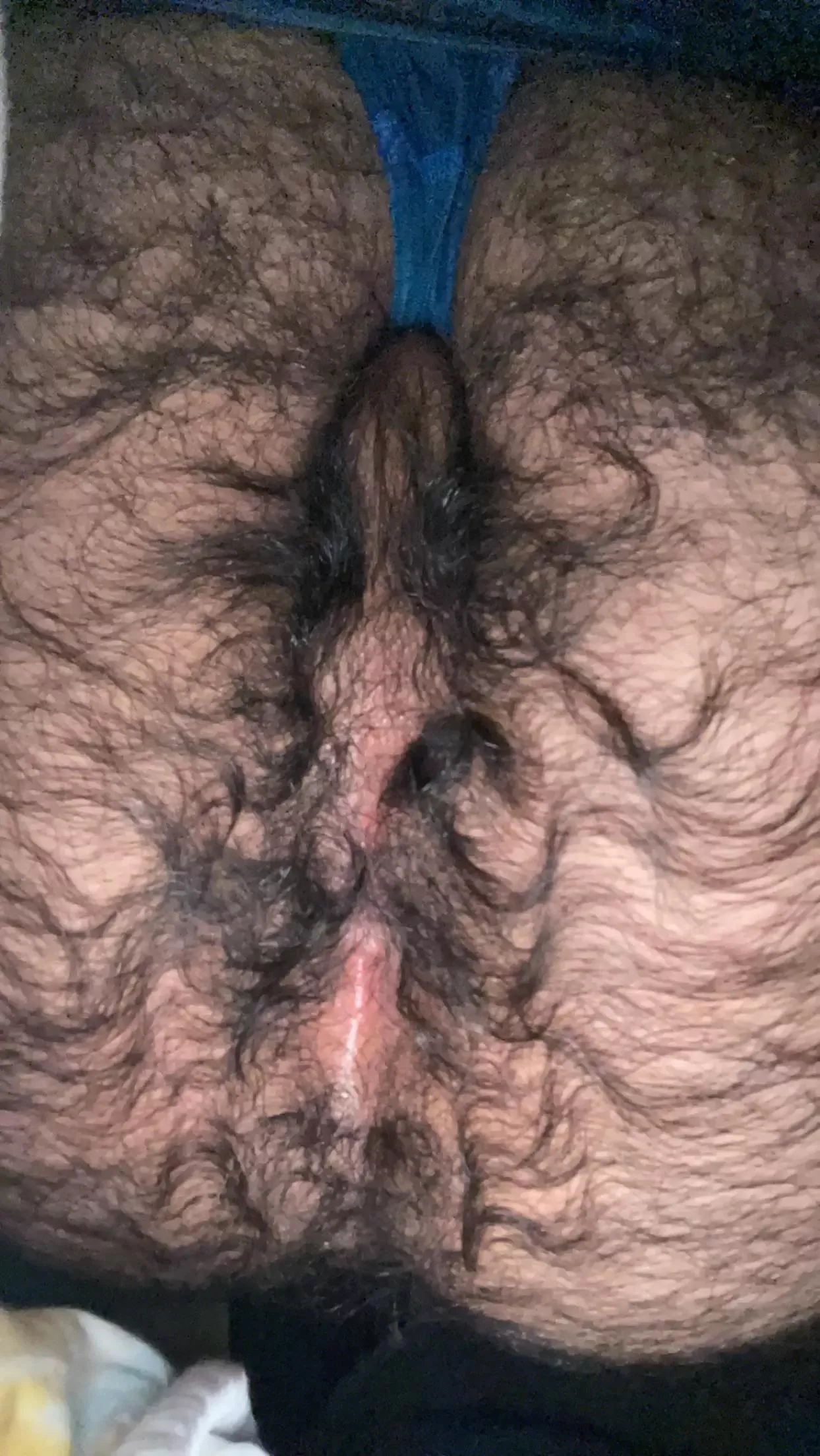 Give me your attention posted by hairyfckbuddy
