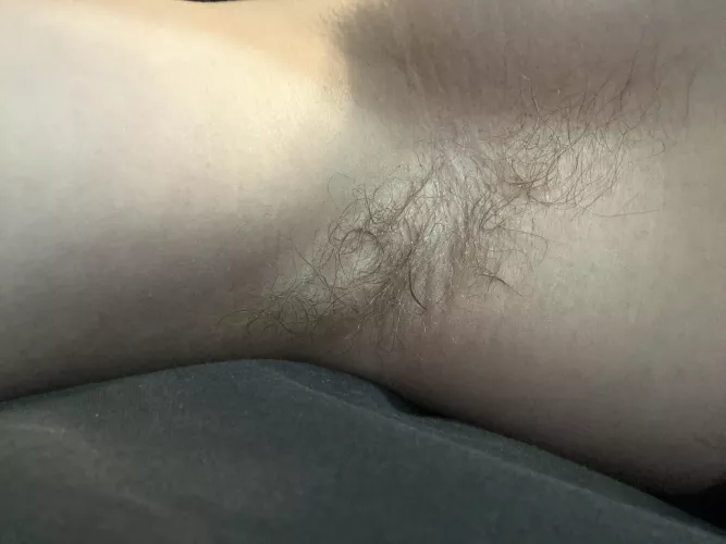 My pits are sweaty and looking for someone to cuddle it by Big-Initiative-8743