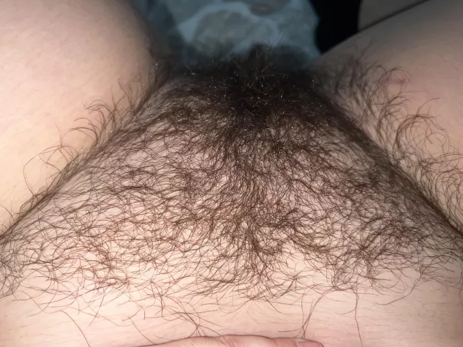 Need a bf who will actually eat hairy pussy🥺 by baby_sophia20