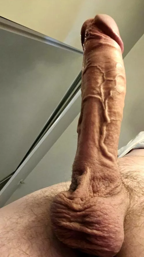 POV: you're both getting it ready by xxl_bull