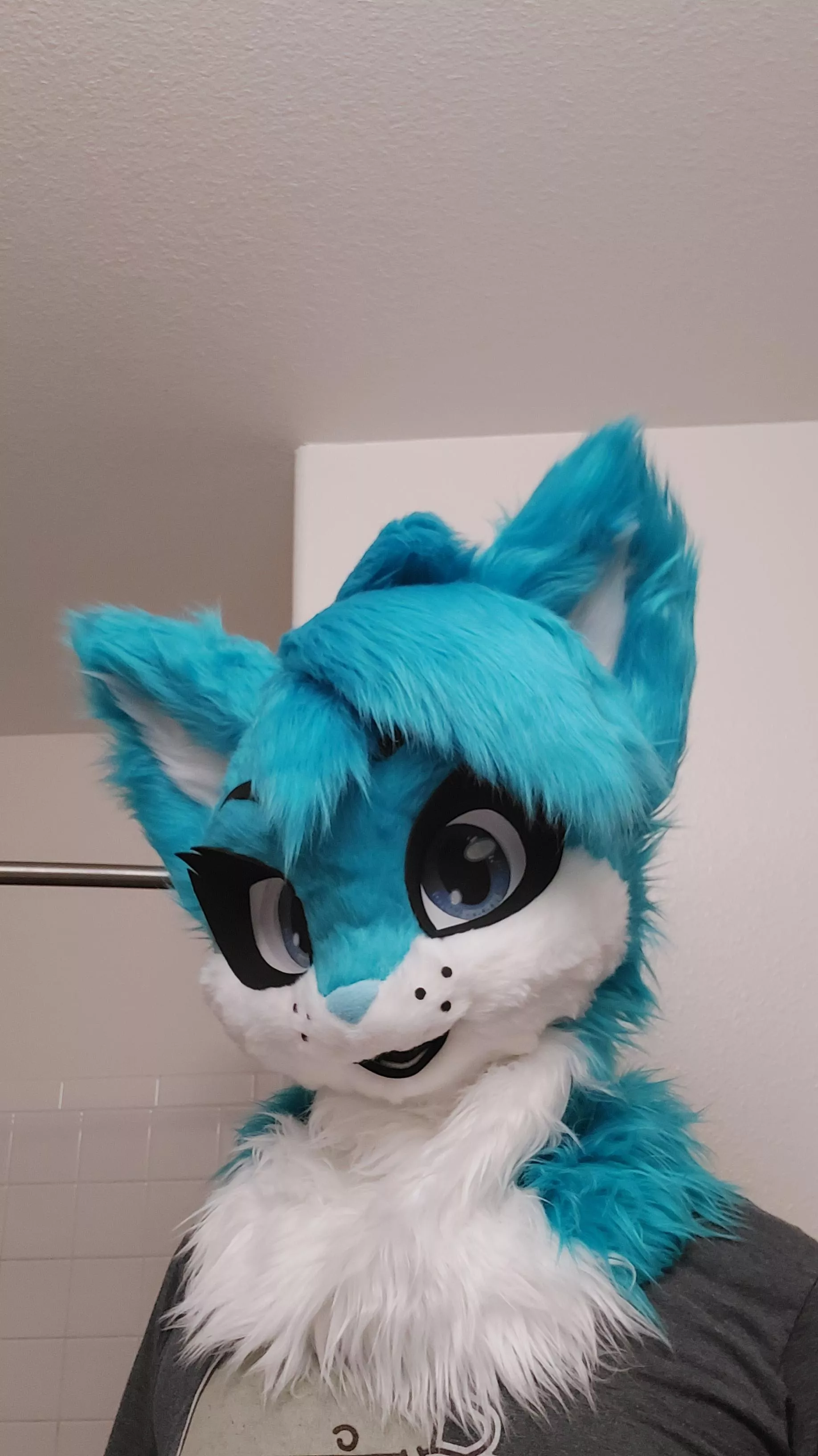 Recently made a new design for my fursuit head! Hope y'all like it! posted by SylviaCrisp