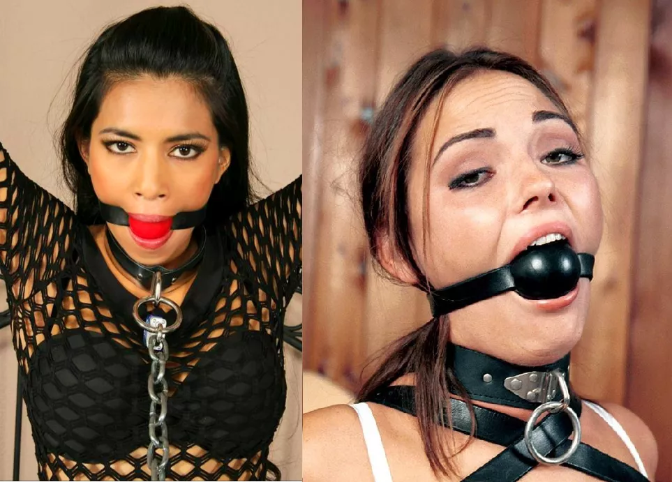 The left one says she will beat you up. The right one wants to escape. Whats your move? posted by Quiet-Mind-5106