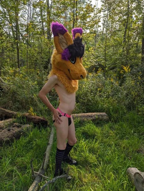 What would you do with a roo in the woods?~ by Rue_Technica