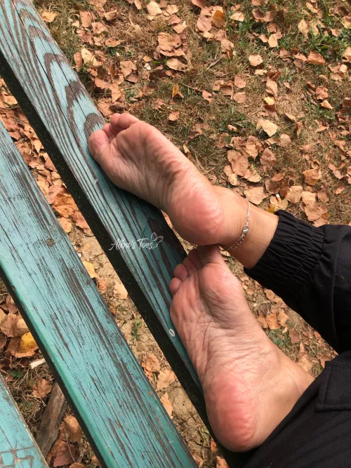 Where did the summer go? by albastoes