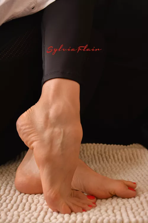 A classic red by SylviaFlair