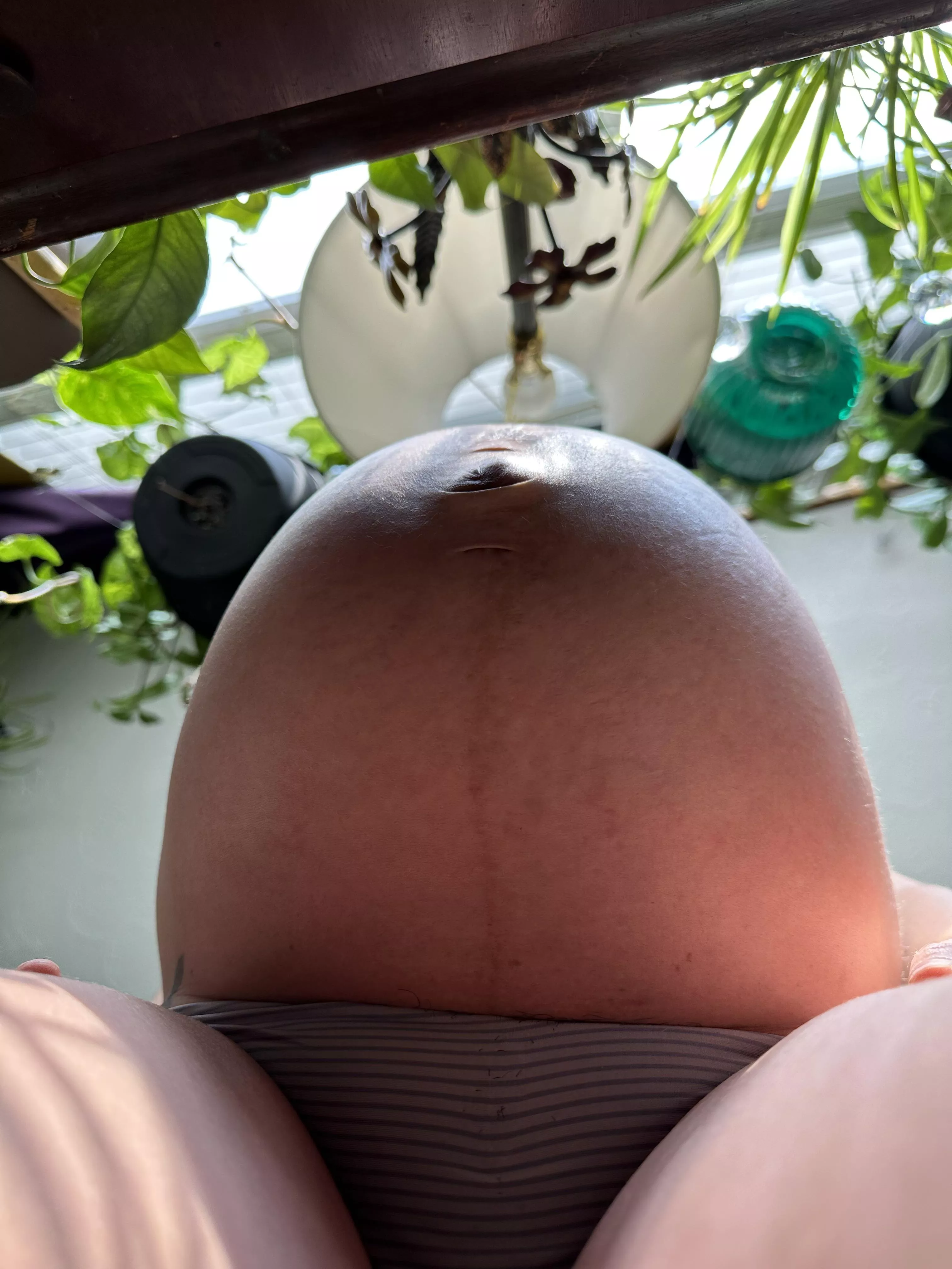 An under-view posted by Beepooter